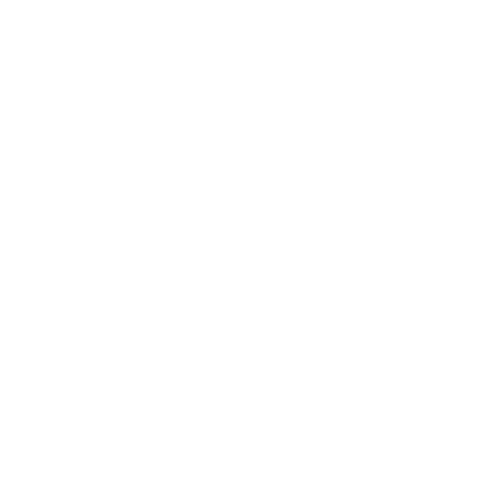 Hustler Archetype