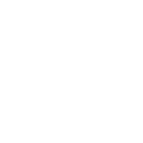 Investor Archetype